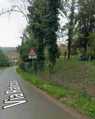 Terreno boschivo colle di covignano