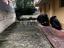 Immagine 21