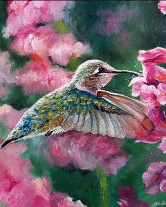 Il volo del Colibrì