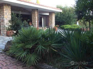 Splendida Villa in Ansedonia