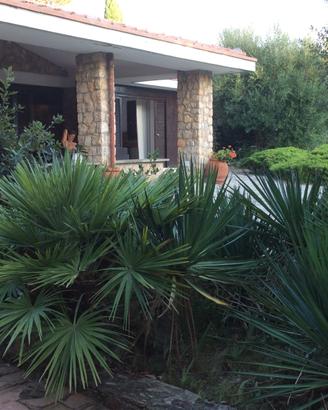 Splendida Villa in Ansedonia