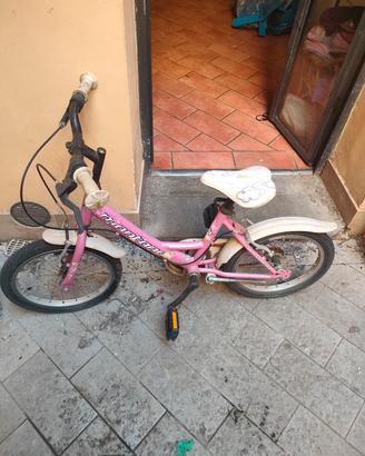 Bicicletta bambina