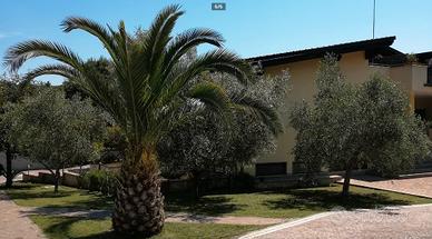 Castel di leva bilocale con giardino e p.auto