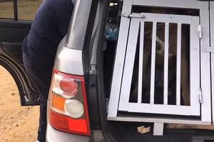 Range Rover Sport 2.7