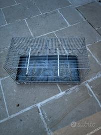 Gabbie per uccelli