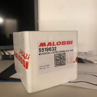 Selettra team 2 piaggio