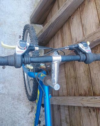 Bicicletta Frera