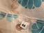 Immagine 3