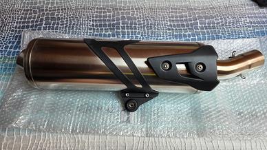 Terminale scarico originale BMW F800R 2015