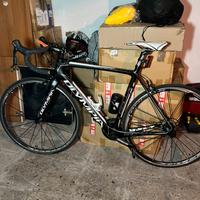 Olympia taglia m full carbon