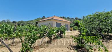 Terreno agricolo 7,5 ettari Castiglione di Sicilia