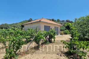 Terreno agricolo 7,5 ettari Castiglione di Sicilia