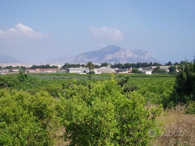 Terreno panoramico Palermo zona Forum