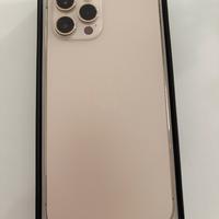 iPhone 12 Pro Max 256 Gb