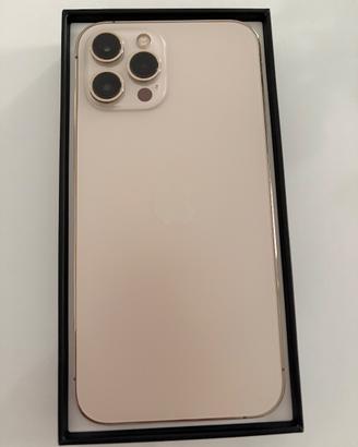 iPhone 12 Pro Max 256 Gb