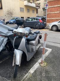 scarabeo 50cc