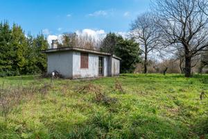 Palestrina: rustico con terreno