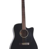 Takamine G Series