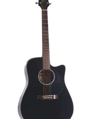 Takamine G Series