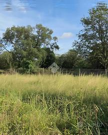 TER. AGRICOLO A CAPRIOLO