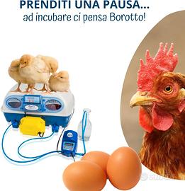 Incubatrice Professionale REAL 24 EXPERT BOROTTO🔝
