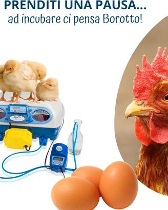 Incubatrice Professionale REAL 24 EXPERT BOROTTO🔝