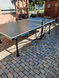 Tavolo da ping pong