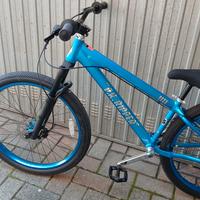 SE bike