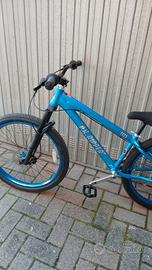 SE bike