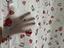 Immagine 5