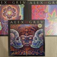 Calendari artista "Alex Grey" The Art of Tool