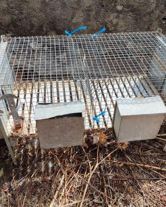 Gabbie per conigli