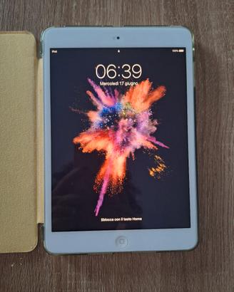 iPad mini 2