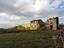 Immagine 11