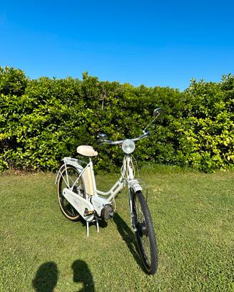 Bicicletta italjet tiffany