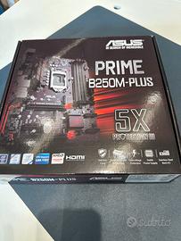 Scheda Madre ASUS PRIME B250M-PLUS