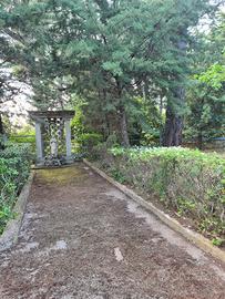 Splendida villa castel del monte