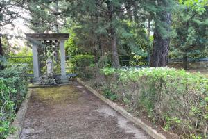 Splendida villa castel del monte