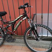 Bicicletta cerchi 20