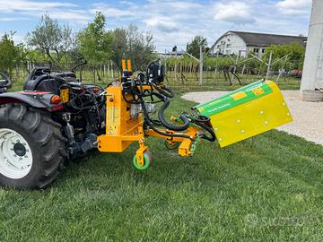 Diserbo meccanico Interfilare Salf