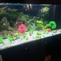 Acquario juwel 350litri