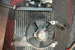 minarelli orizzontale F12/aerox….