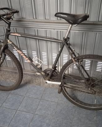 Bici