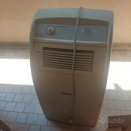 climatizzatore  pinguino