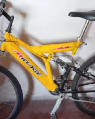 Bicicletta Mountain Bike