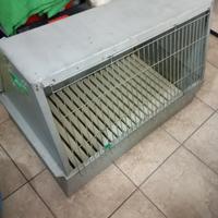 trasportino auto per cani 