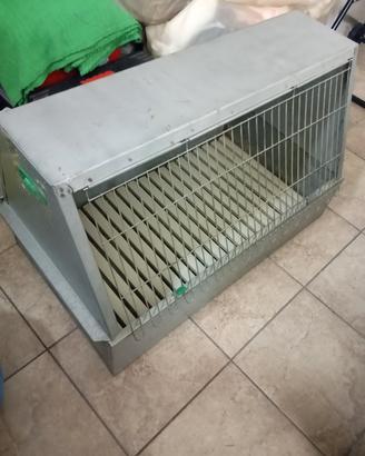 trasportino auto per cani 