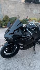 Kawasaki Ninja 500