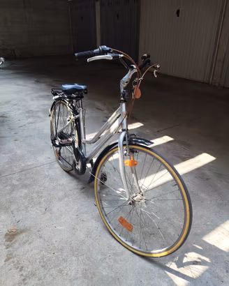 bicicletta da donna Telaio in alluminio 