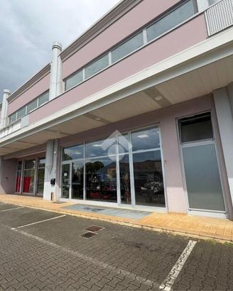 NEGOZIO A SAVIGNANO SUL RUBICONE